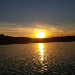 Meet your Posher, Cindi